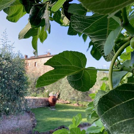 Hotel Monteriggioni Exterior foto