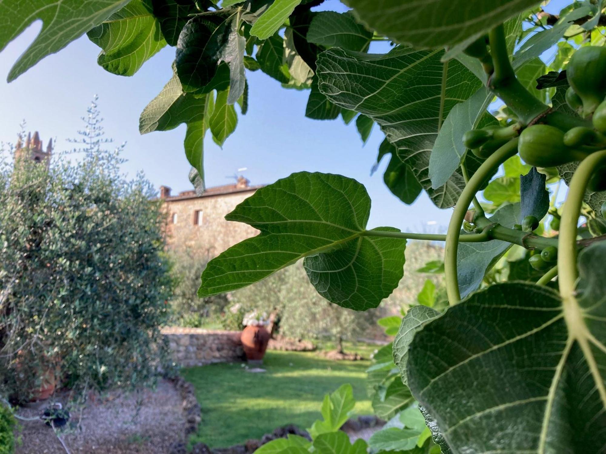 Hotel Monteriggioni Exterior foto
